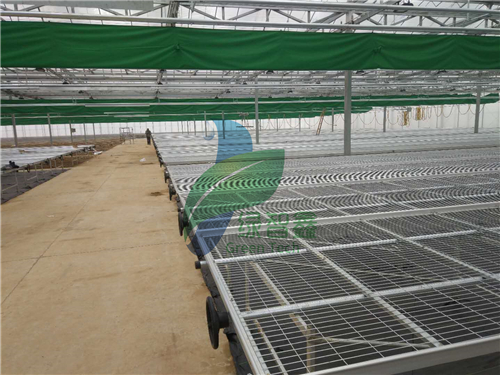 活動苗床產品特性與溫度調節指南
